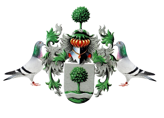 Registratie – Van der Linde Pigeons